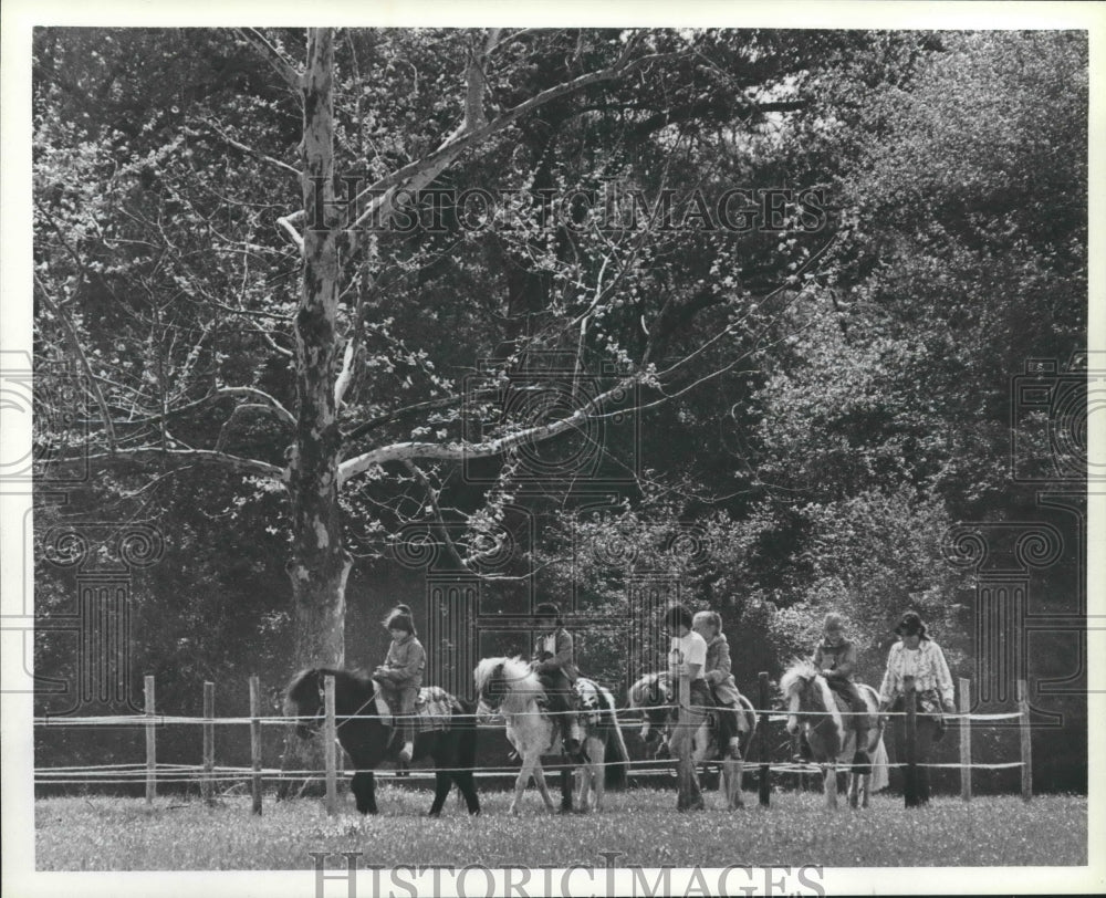 1983 Green Meadows Farm, Brookshire, Texas - Historic Images