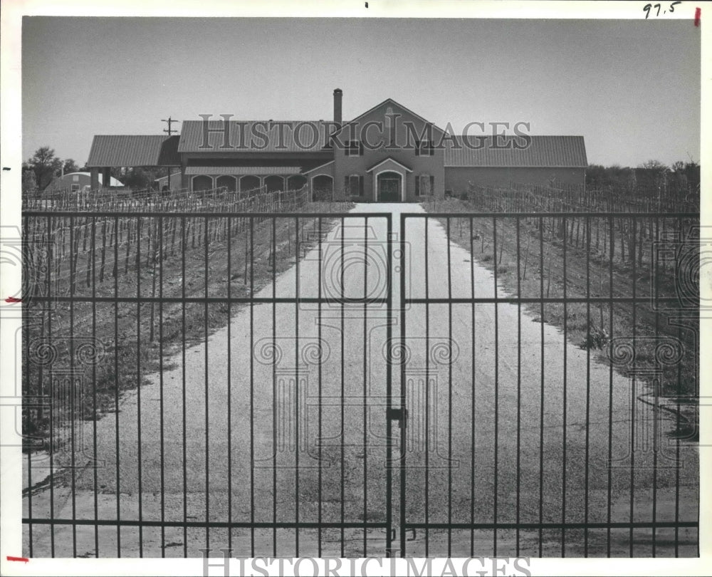 1984 Fall Creek Vineyards near Lake Buchanan - Historic Images