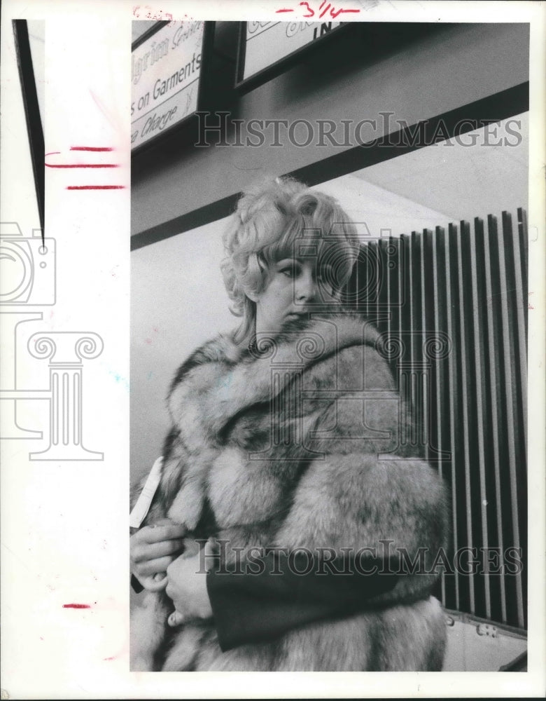 1975 Press Photo Cheryl Maxwell tries on Norwegian blue fox fur in Houston-Historic Images