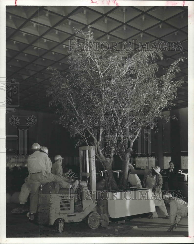 1961 Press Photo First City National Bank - hca23976 - Historic Images