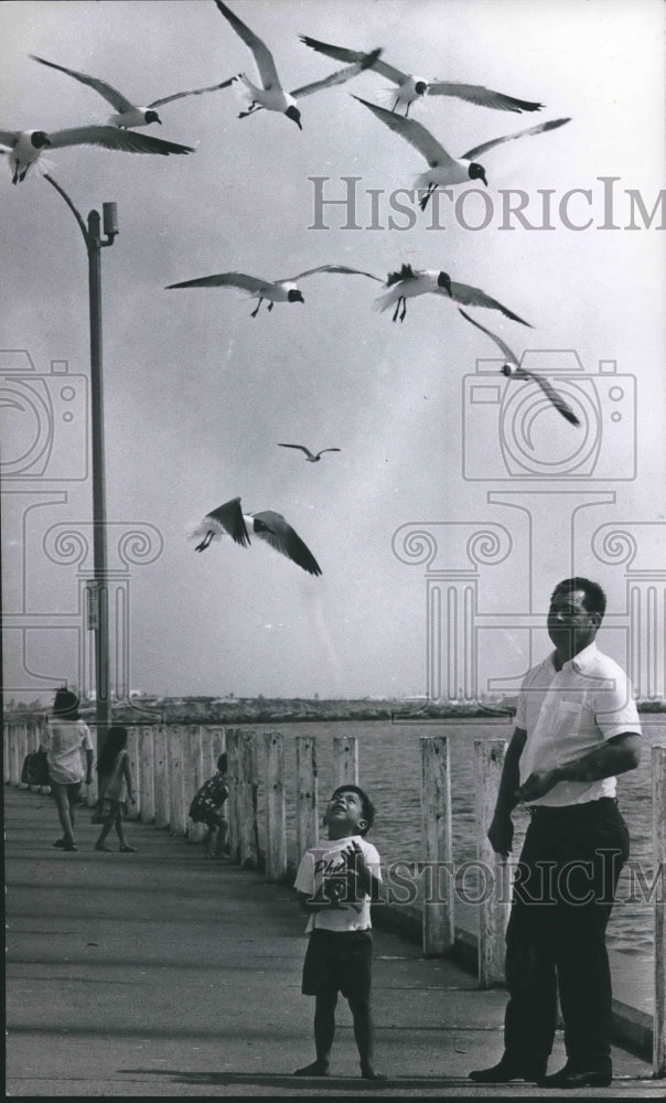 1969 Press Photo Sergio Vriel and his son feed the gulls at Corpus Christi, TX - Historic Images