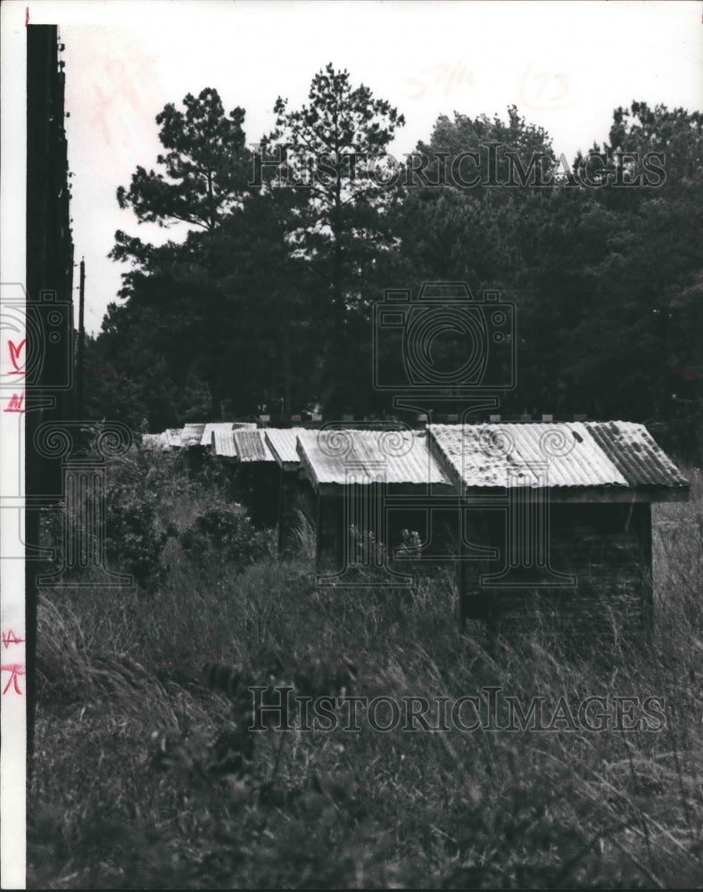 1967 Press Photo Shack in Diboll, Texas - hca24239 - Historic Images