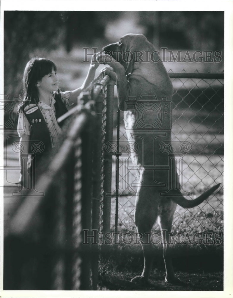 1989 Houston Girl Scout Anna Moot pets dog over fence - Historic Images
