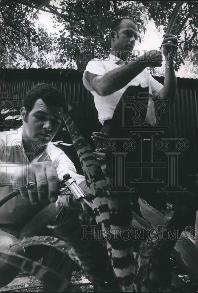 1969 Press Photo Misting Plant Leaves Keeps Them Fresh - hca25426 - Historic Images