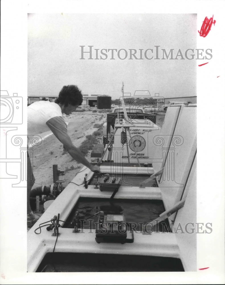 1987 Fish farming aids with Texas bay redfish population - Historic Images