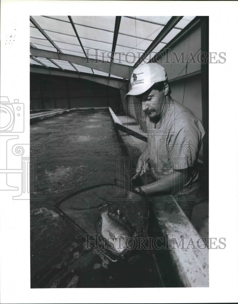 1991 Fish farm operations manager John Grant, Texas - Historic Images