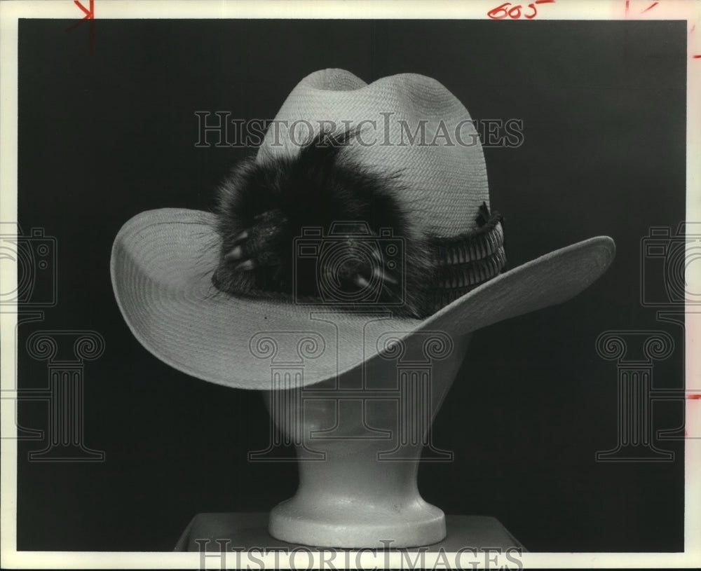 1981 Hat with armadillo trim - Historic Images