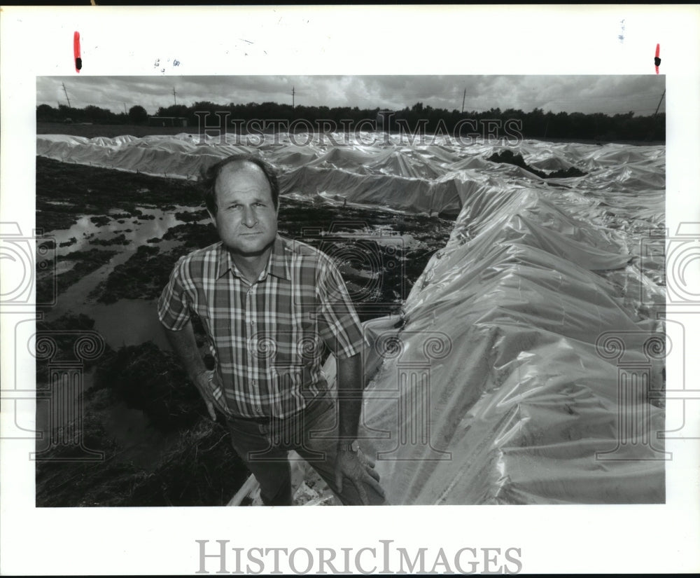 1990 W. J. McDonald stands by his contaminated soil near Alvin, TX - Historic Images