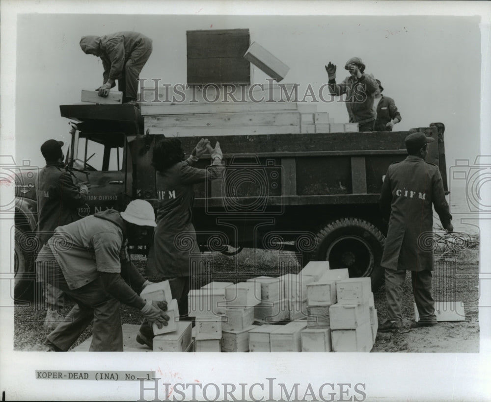1982 Bodies tossed off truck at City Cemetery of NY on Hart Island - Historic Images