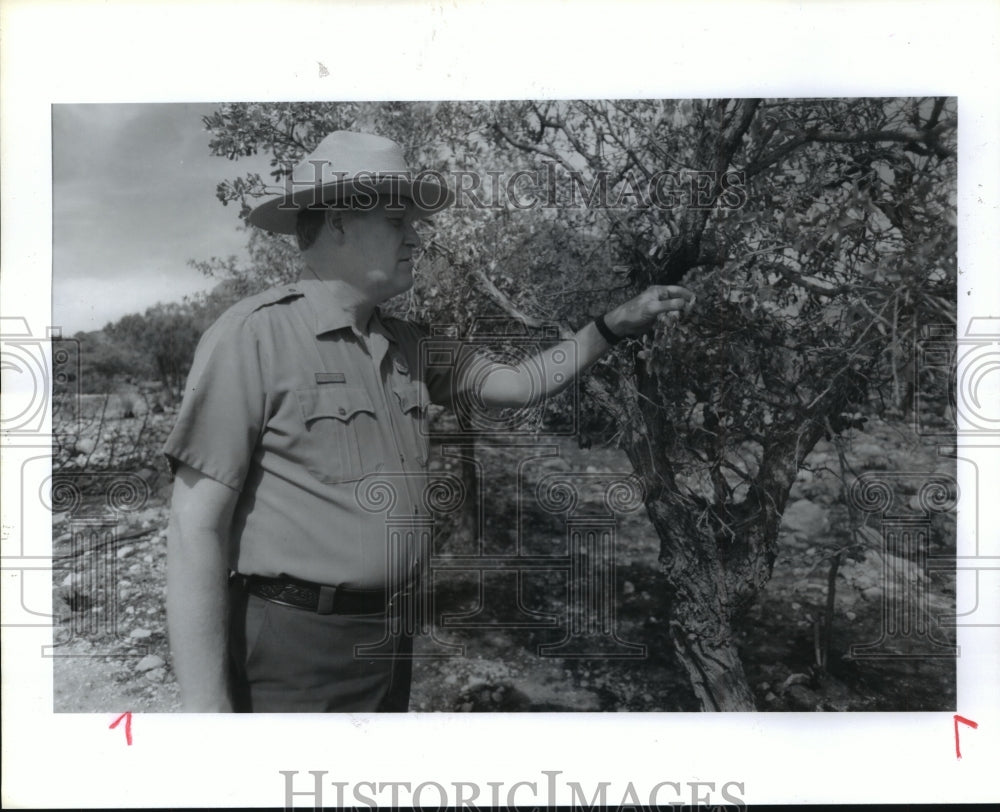 1993 Guadalupe Mountains National Park official Richard McCamant - Historic Images