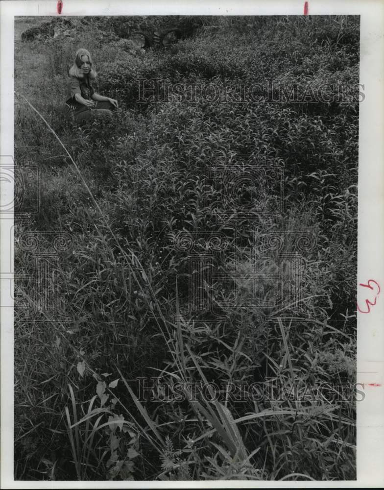 1976 Mary Jenevein, Harris Co Mosquito Control, inspects field in TX - Historic Images