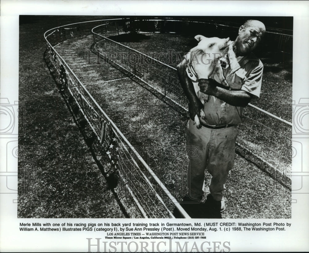 1988 Merle Mills holds his racing pig in Germantown, MD - Historic Images