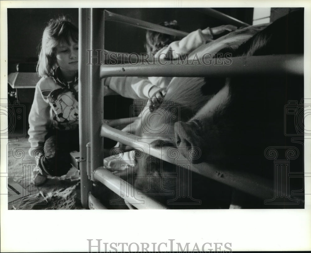 1987 Michelle Koon pets show hog Astrohall in Spring Branch, Texas - Historic Images