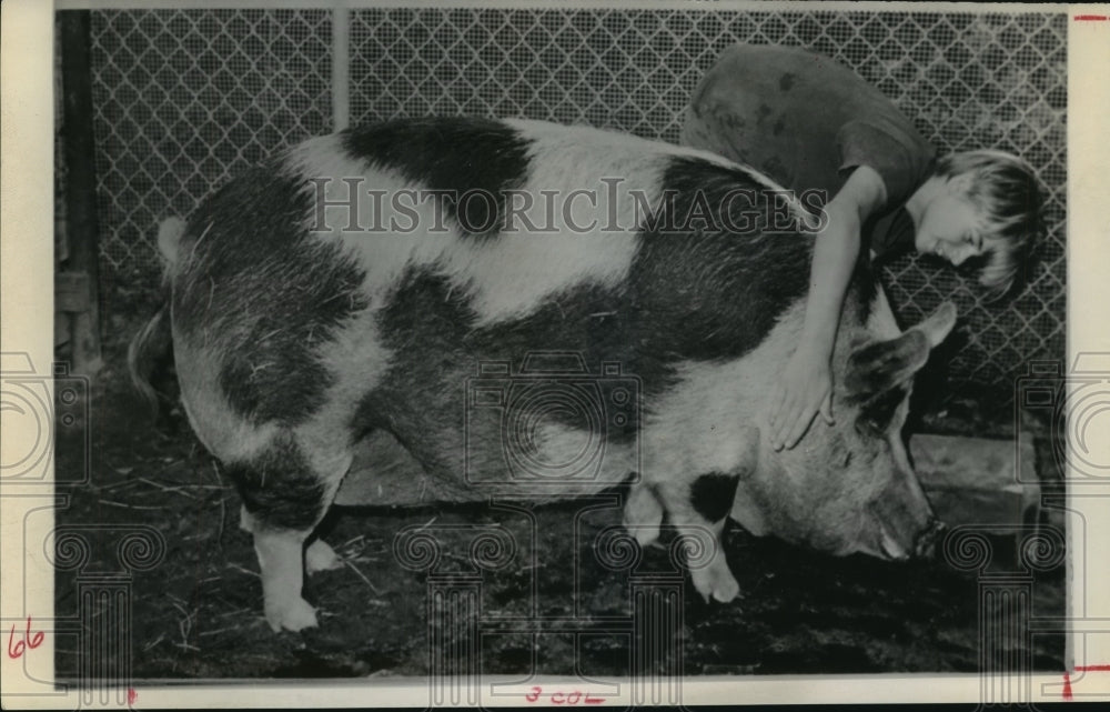 1974 Press Photo Bobby Seymore and pet pig Tippy Sue - hca27414- Historic Images