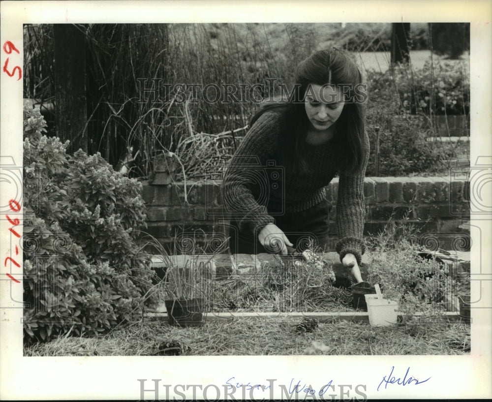 1984 Woman plants herbs in raised garden bed, Houston - Historic Images