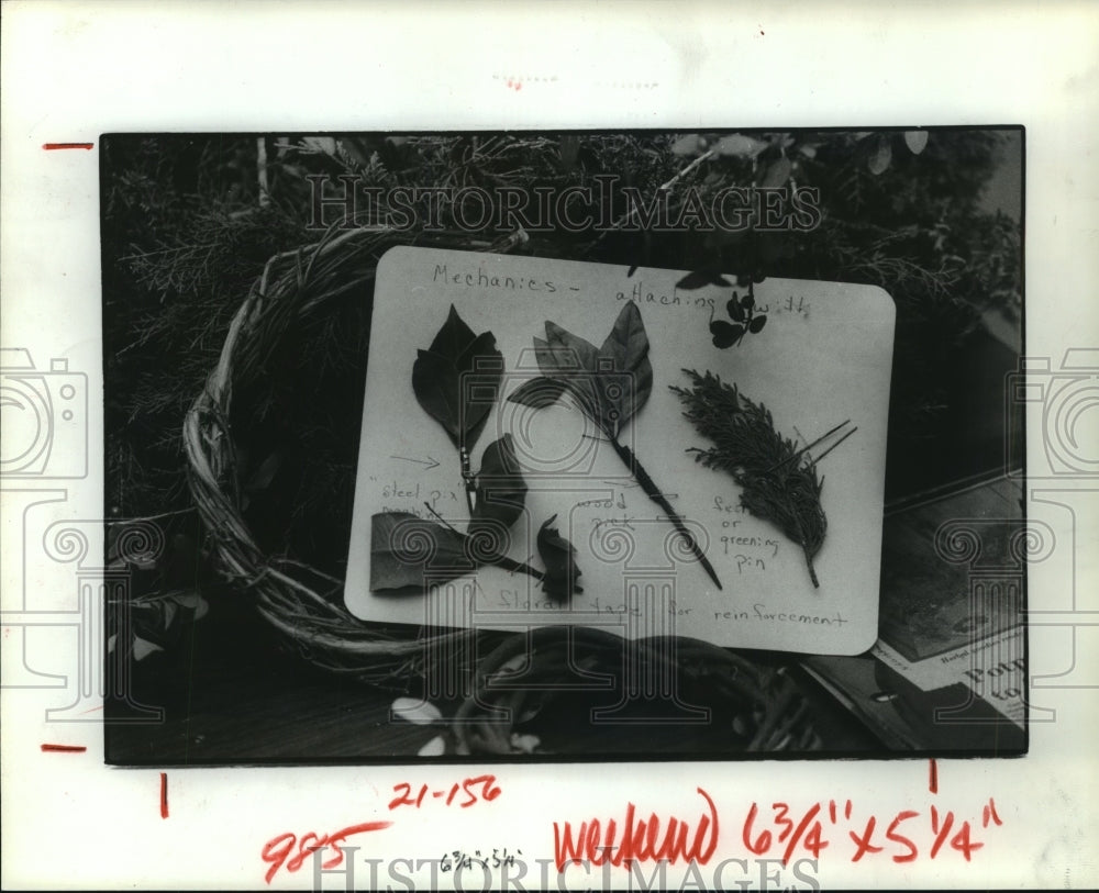 1982 Mary Reeves' display on how to attach plant in Texas - Historic Images
