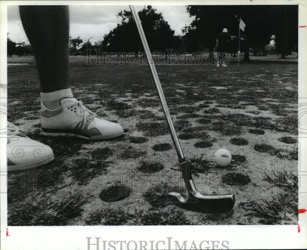 1990 Nat Tudzin putts at Houston Hermann Park golf Course - Historic Images