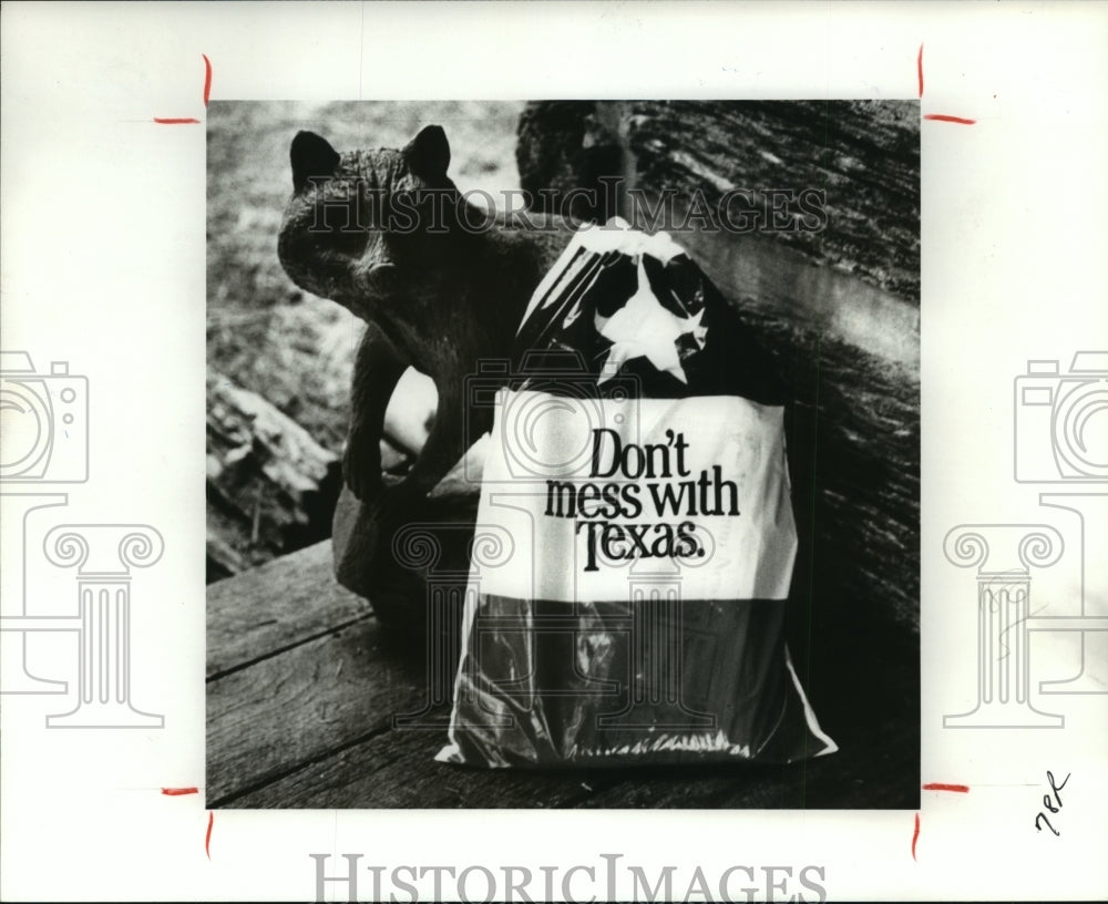 1986 Raccoon sculpture at door of Hill Museum at Frelsburg, Texas - Historic Images
