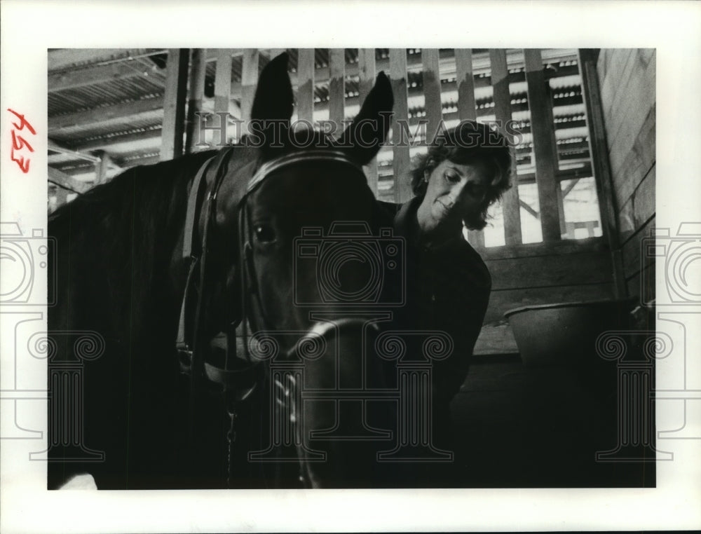 1982 Barbara LeVoy grooms horse near Houston - Historic Images