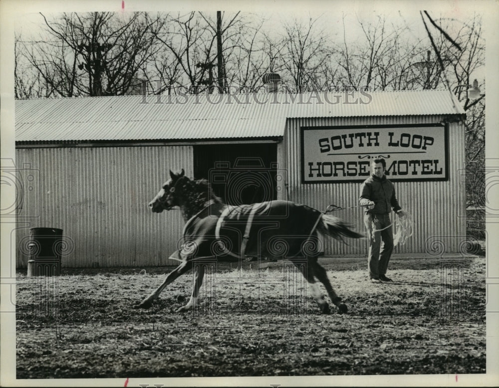 1980 Tony Griffith exercises horse at his S Loop Houston Horse Motel - Historic Images