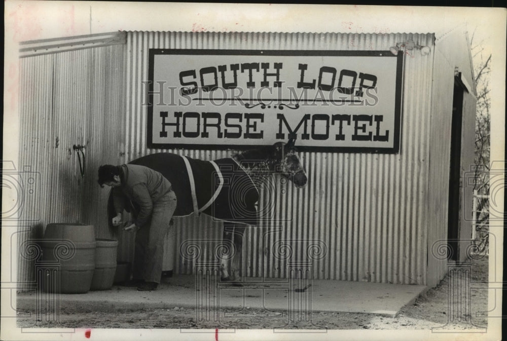 1990 Man and horse at Horse Motel at South Loop Motel in Fort Worth - Historic Images