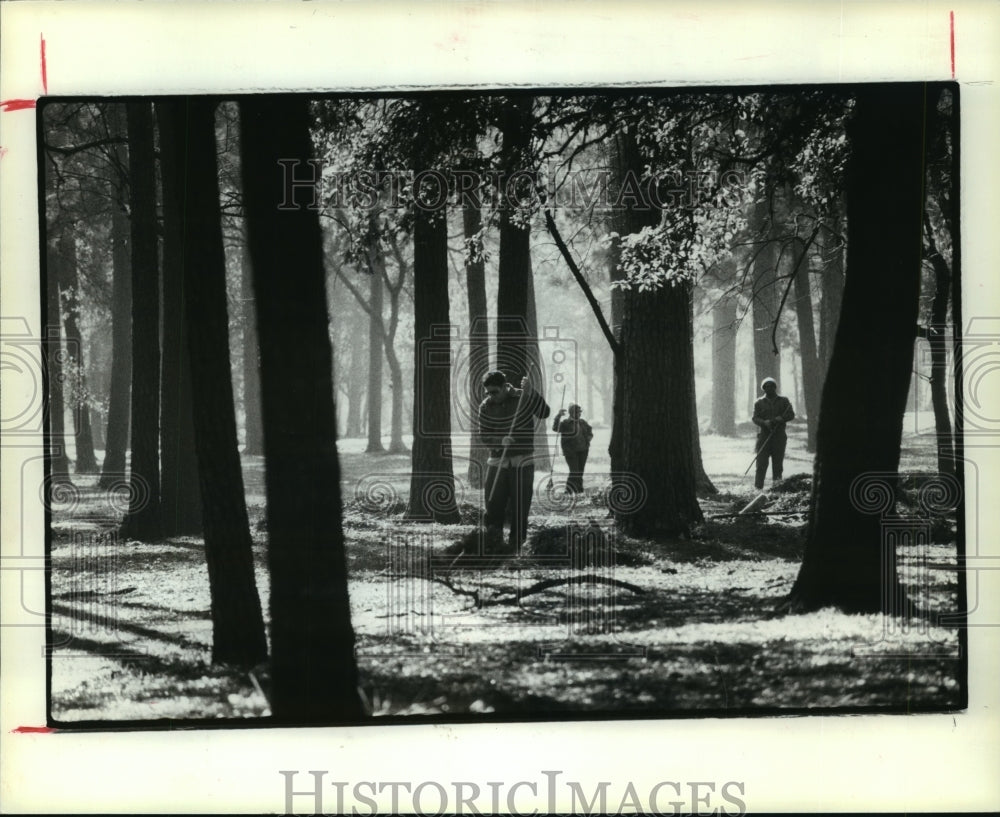 1980 Houston city workers rake leaves at Hermann Park - Historic Images