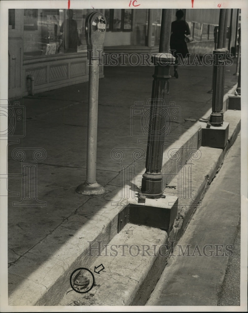 1967 Press Photo Hitching rings on curb on Houston street - hca28511 - Historic Images