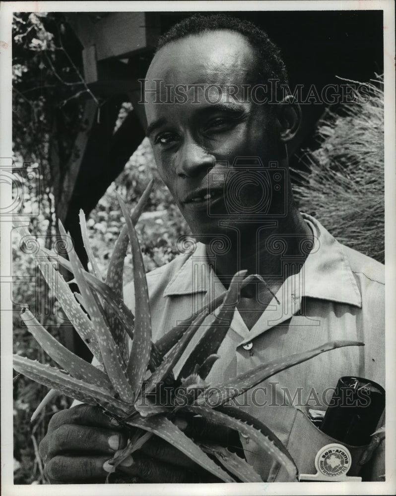 1971 Amateur herbalist Clarence Pleasants holds aloe in Texas - Historic Images