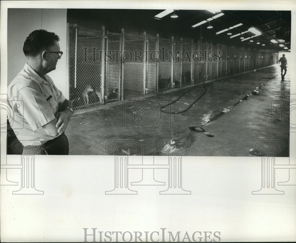 1969 Press Photo J.W. Gee looks down long hall of dog pens at Houston pound - Historic Images