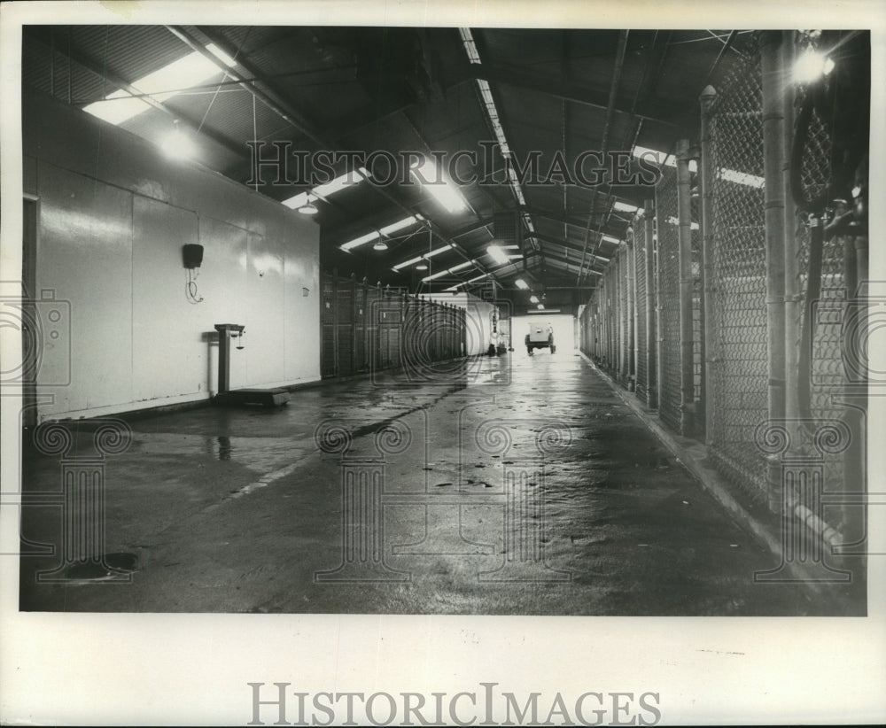 1969 Press Photo Looking down long hall at Houston Dog Pound - hca29799 - Historic Images