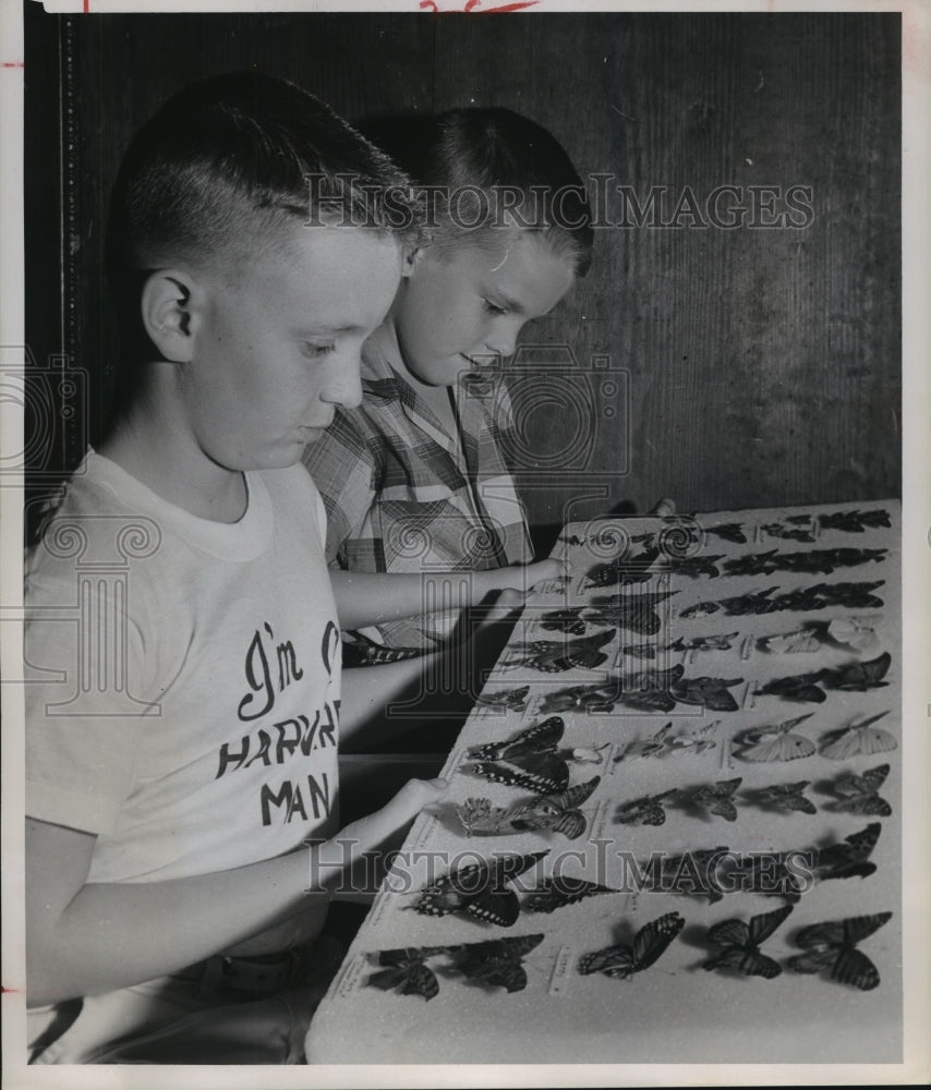 1961 Press Photo Lynn Durden sees butterflies at Houston Heights library-Historic Images