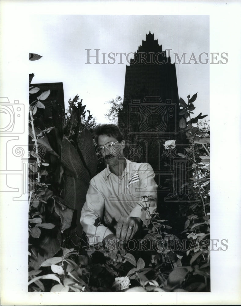 1991 Houston Parks Department Gary Plaia prunes roses - Historic Images