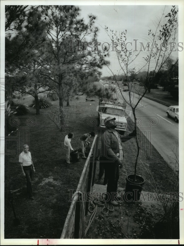 1986 Houston Parks Department Charles Ware plants tree along road - Historic Images
