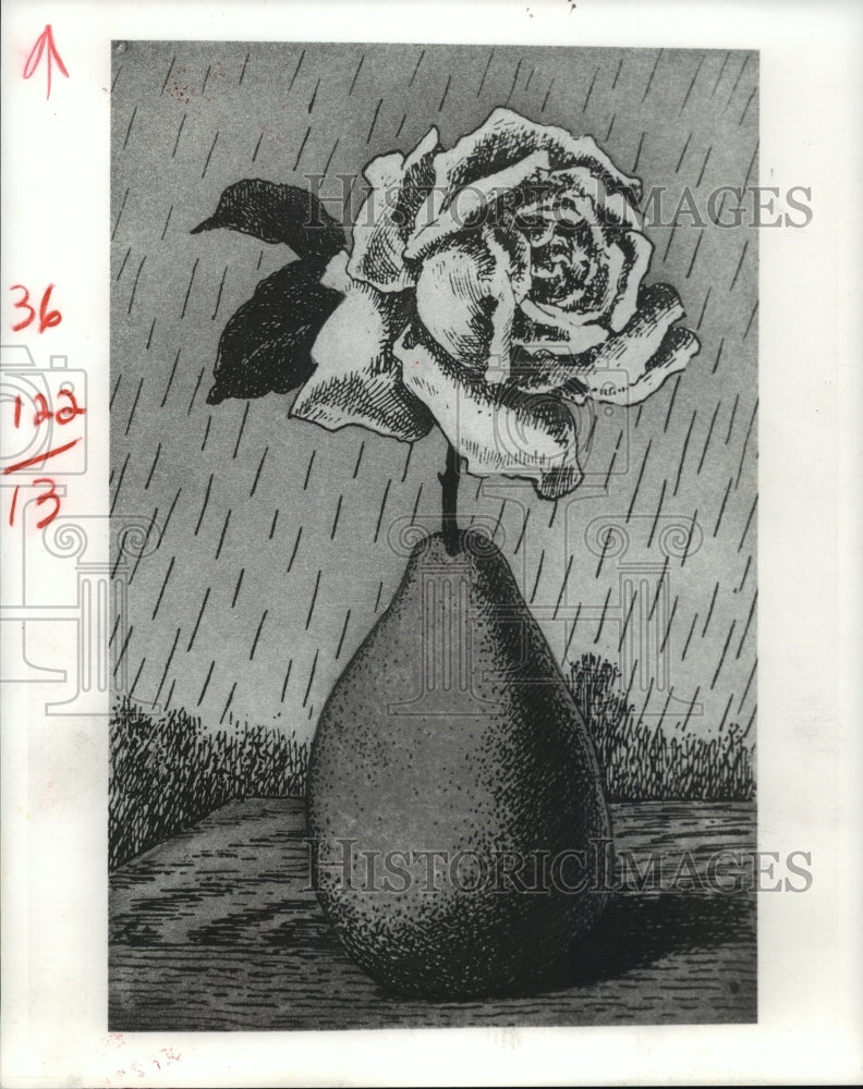 1993 Press Photo Rene Maritte's color etching of pear & rose at Houston Gallery - Historic Images