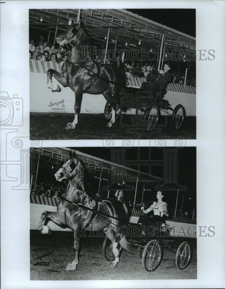 1987 Audience watches horse pulls small wagon - Historic Images