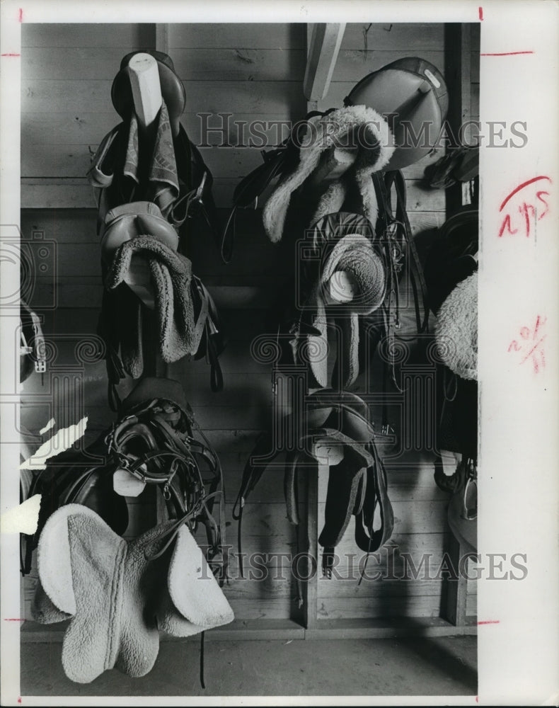 1977 Press Photo Horse saddles hanging in tack room - hca30712- Historic Images