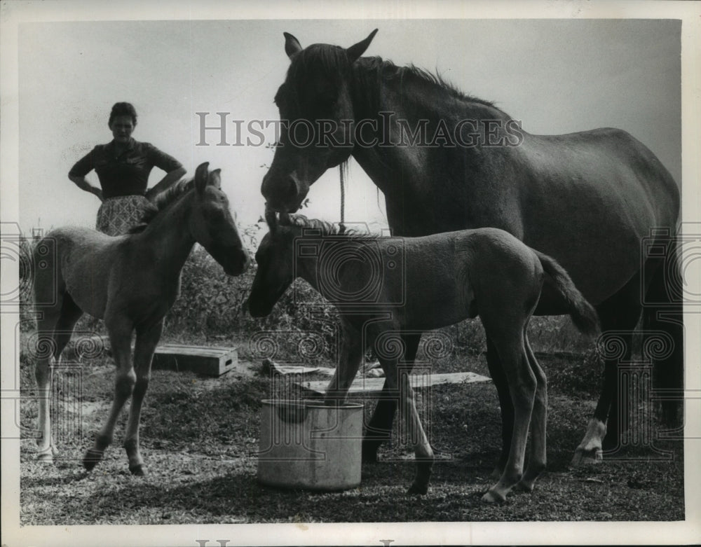 1967 Press Photo Ruth Burns with her twin horses on her Arcola, Texas farm - Historic Images