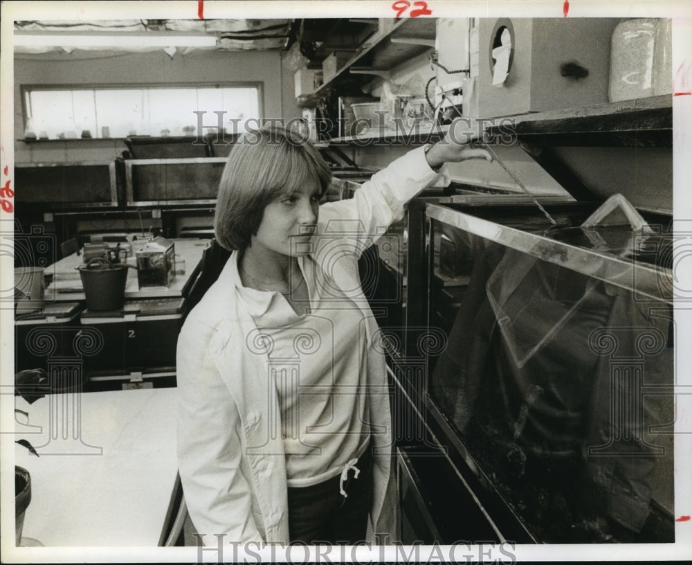 1978 Houston School&#39;s lab tech Pat Kimmel checks aquarium - Historic Images