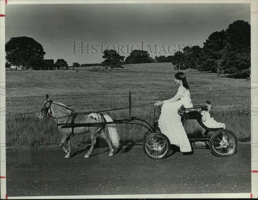 1979 Appaloosa horse pulls carriage with Karen Sherwood at reins - Historic Images