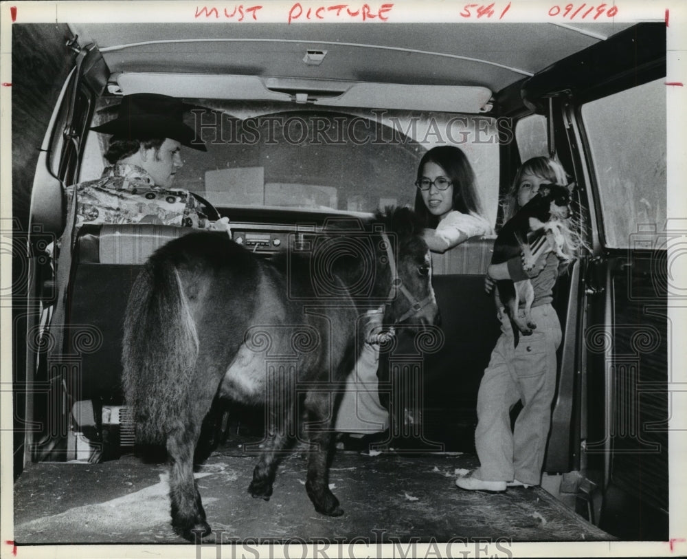 1978 Miniature horse in back of the Burches' van - Historic Images