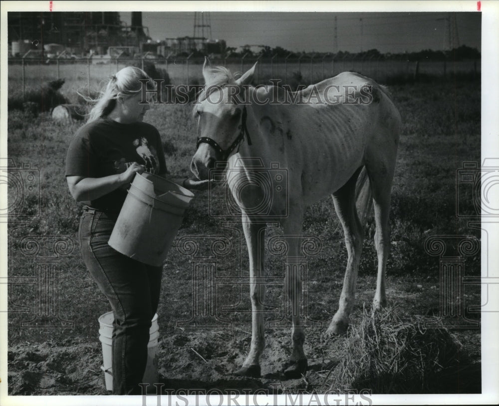 1989 Animal investigator Tammy Sikes feeds malnourished mare - Historic Images