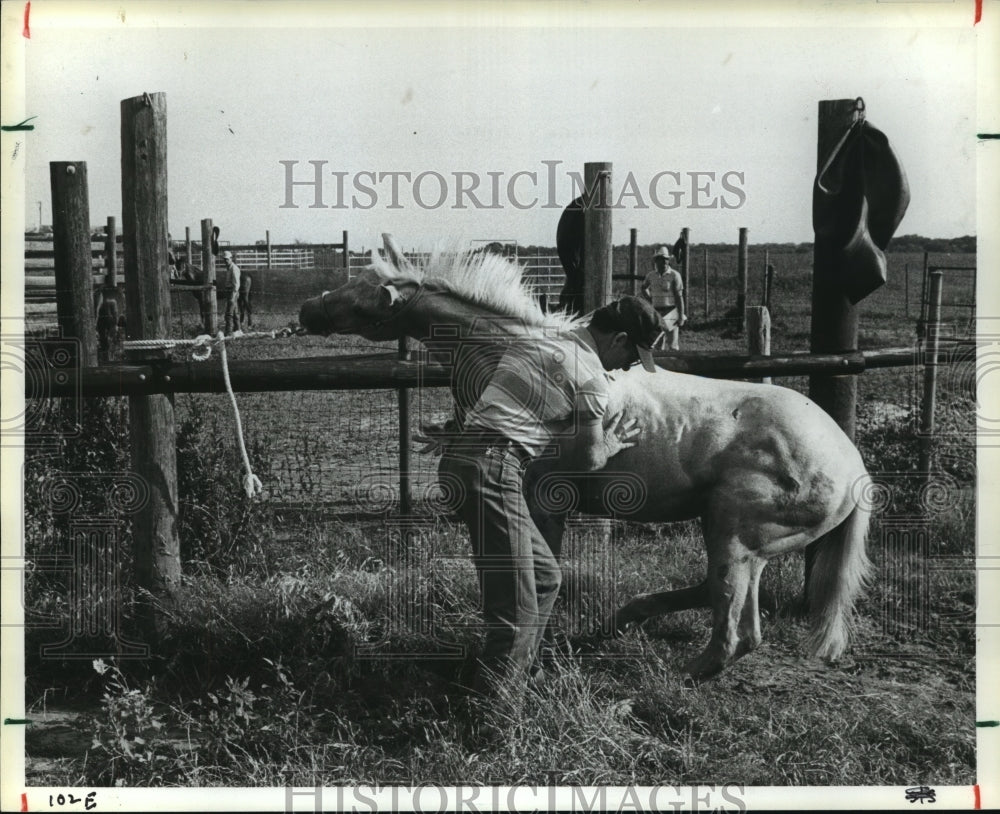 1985 Press Photo Les Waymack works with horse on Texas ranch - hca31660- Historic Images