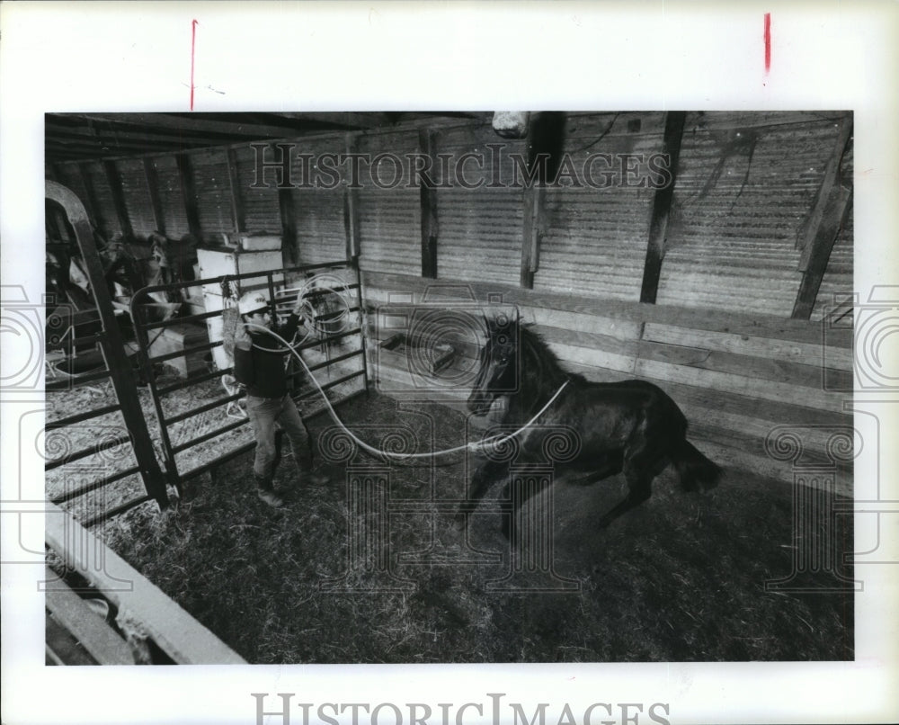 1990 Press Photo Ciriaco Carranco trains horse on Waller, Texas farm - hca32037 - Historic Images