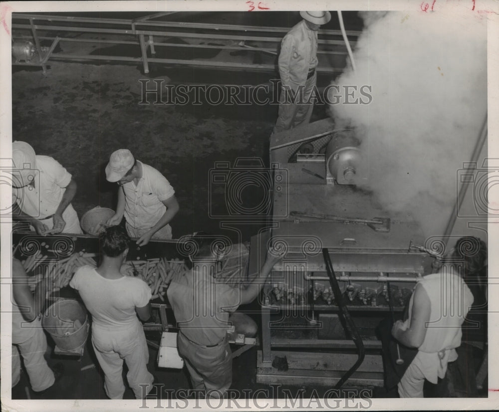 1957 Houston Prison Farm inmates work steamer - Historic Images