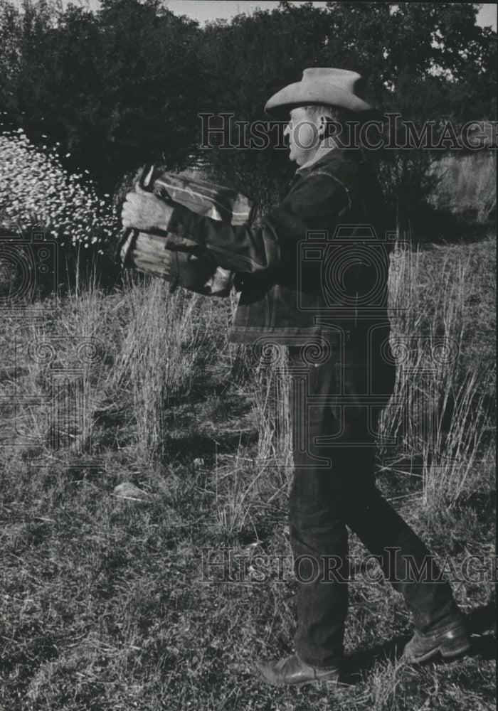 1987 Texas hunting guide throws animal feed in field - Historic Images