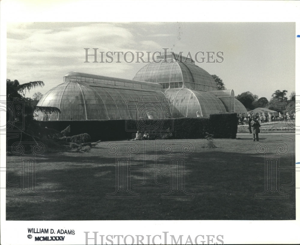 1988 Palm House greenhouse at Kew Gardens near London - Historic Images