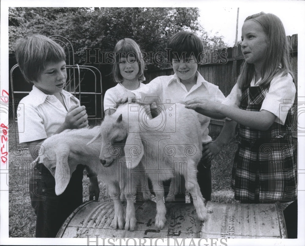 1977 Houston's Awty School students pet two goats in play-yard - Historic Images