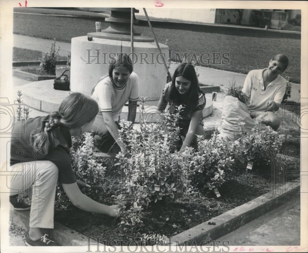 1971 Houston&#39;s Lamar High student volunteers weed the grounds - Historic Images