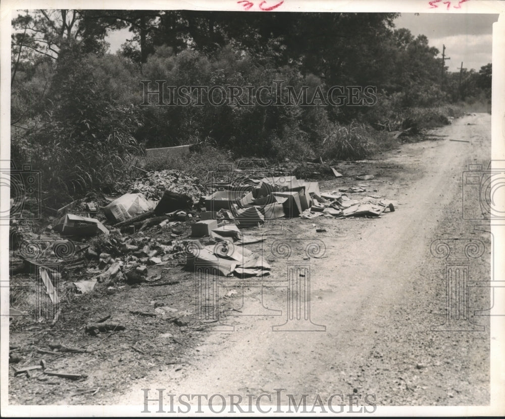 1955 Press Photo Garbage strewn along edge of road near Holman in Houston - Historic Images