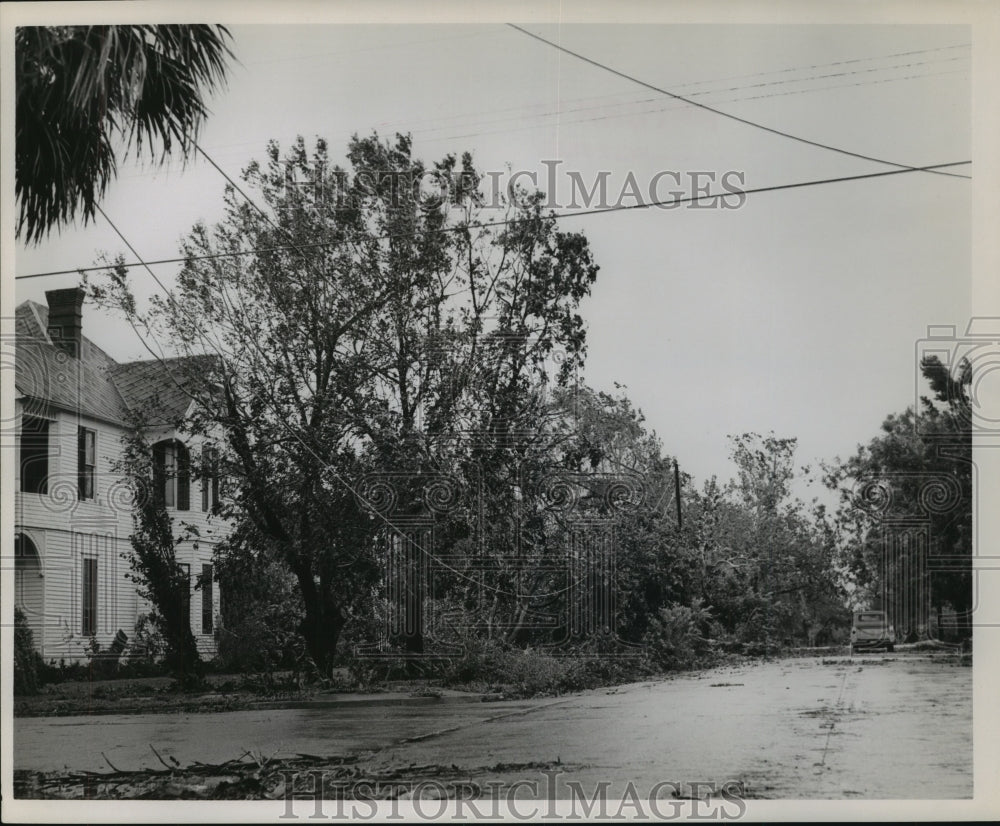 1961 Downed trees & flooding in Edna, TX after Hurricane Carla - Historic Images